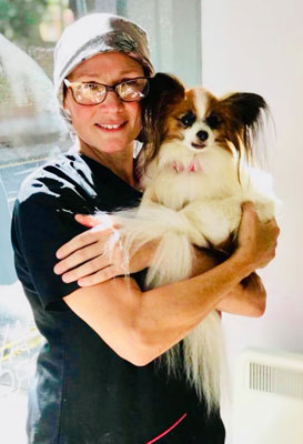 Dog Grooming Norwich - Dolly &amp; Scruffy&rsquo;s Dog Grooming Studio